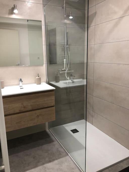 Appartement Moderne & Lumineux 40M2 Centre Luxeuil Exteriör bild