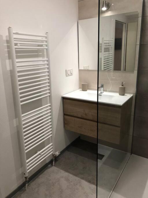 Appartement Moderne & Lumineux 40M2 Centre Luxeuil Exteriör bild